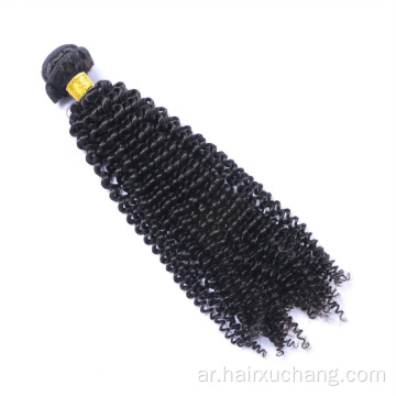 8A 100 ٪ Remy Burmese Kinky Curly Hair Bundle Ruk Buticle محاذاة بائع حزمة الشعر البشرية